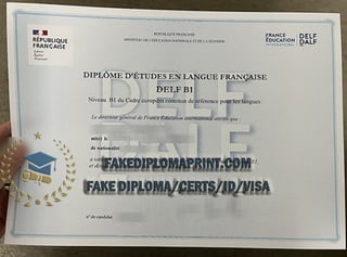 DELF B1 certificate.pdf