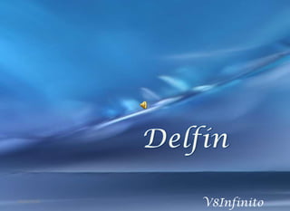 Delfín V8Infinito 26/04/2010 
