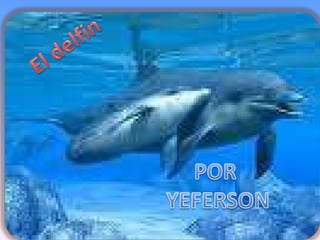 Delfin