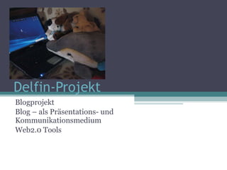 Delfin-Projekt Blogprojekt Blog – als Pr äsentations- und Kommunikationsmedium Web2.0 Tools 
