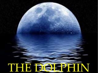 THE DOLPHIN
 