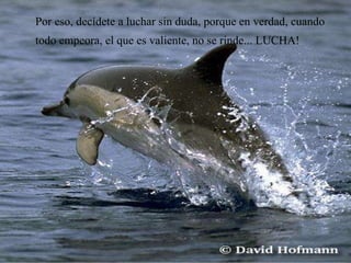 Por eso, decídete a luchar sin duda, porque en verdad, cuando todo empeora, el que es valiente, no se rinde... LUCHA!