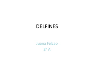 DELFINES
Juana Falcao
3° A

 