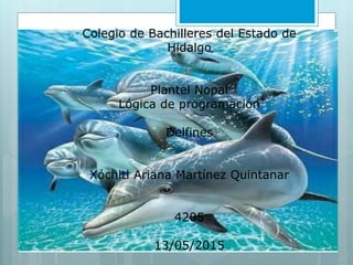 Colegio de Bachilleres del Estado de
Hidalgo
Plantel Nopal
Lógica de programación
Delfines
Xóchitl Ariana Martínez Quintanar
4205
13/05/2015
 