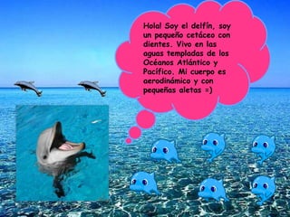 Hola! Soy el delfín, soy un pequeño cetáceo con dientes. Vivo en las aguas templadas de los Océanos Atlántico y Pacífico. Mi cuerpo es aerodinámico y con pequeñas aletas =)