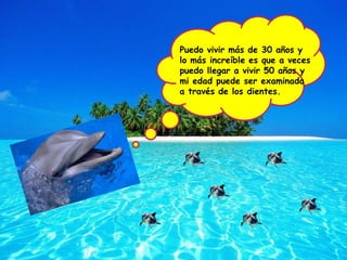 Puedo vivir más de 30 años y lo más increíble es que a veces puedo llegar a vivir 50 años y mi edad puede ser examinada a través de los dientes.