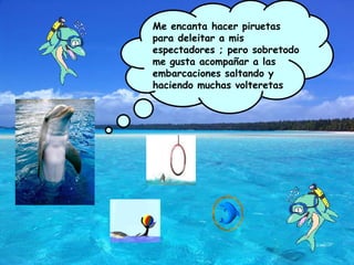Me encanta hacer piruetas para deleitar a mis espectadores ; pero sobretodo me gusta acompañar a las embarcaciones saltando y haciendo muchas volteretas