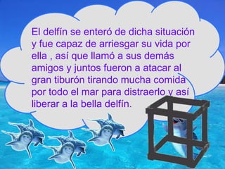 El delfín se enteró de dicha situación y fue capaz de arriesgar su vida por ella , así que llamó a sus demás amigos y juntos fueron a atacar al gran tiburón tirando mucha comida por todo el mar para distraerlo y así liberar a la bella delfín. 