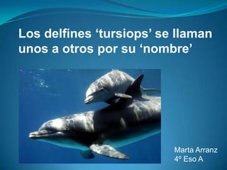 Los delfines ‘tursiops’ se llaman
unos a otros por su ‘nombre’

Marta Arranz
4º Eso A

 