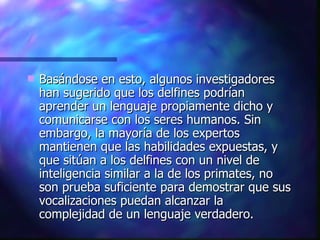 Basándose en esto, algunos investigadores han sugerido que los delfines podrían aprender un lenguaje propiamente dicho y comunicarse con los seres humanos. Sin embargo, la mayoría de los expertos mantienen que las habilidades expuestas, y que sitúan a los delfines con un nivel de inteligencia similar a la de los primates, no son prueba suficiente para demostrar que sus vocalizaciones puedan alcanzar la complejidad de un lenguaje verdadero. 