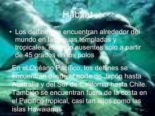 Hábitat Los delfines se encuentran alrededor del mundo en las aguas templadas y tropicales, estando ausentes solo a partir de 45 grados en los polos En el Océano Pacífico, los delfines se encuentran desde el norte de Japón hasta Australia y del Sur de California hasta Chile. También se encuentran fuera de la costa en el Pacífico tropical, casi tan lejos como las islas Hawaianas   