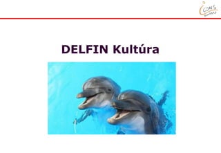 www.icons.hu
DELFIN Kultúra
iCons-Hungary Kft.
 