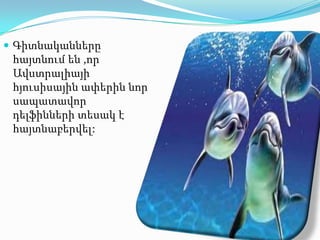  Գիտնականները

հայտնում են ,որ
Ավստրալիայի
հյուսիսային ափերին նոր
սապատավոր
դելֆինների տեսակ է
հայտնաբերվել:

 