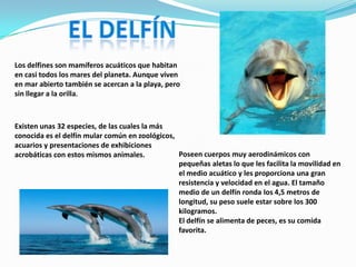 El delfínLos delfines son mamíferos acuáticos que habitan en casi todos los mares del planeta. Aunque viven en mar abierto también se acercan a la playa, pero sin llegar a la orilla. Existen unas 32 especies, de las cuales la más conocida es el delfín mular común en zoológicos, acuarios y presentaciones de exhibiciones acrobáticas con estos mismos animales.Poseen cuerpos muy aerodinámicos con pequeñas aletas lo que les facilita la movilidad en el medio acuático y les proporciona una gran resistencia y velocidad en el agua. El tamaño medio de un delfín ronda los 4,5 metros de longitud, su peso suele estar sobre los 300 kilogramos.El delfín se alimenta de peces, es su comida favorita.