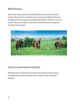 Delft Island.docx