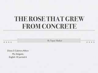 THE ROSE THAT GREW
         FROM CONCRETE
                         By Tupac Shakur



Diana S Cabrera Alfaro
     Ms. Delgado
 English 10 period 6
 