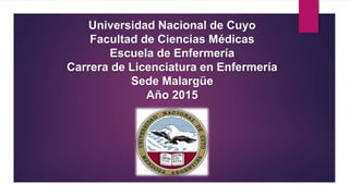 Universidad Nacional de Cuyo
Facultad de Ciencias Médicas
Escuela de Enfermería
Carrera de Licenciatura en Enfermería
Sede Malargüe
Año 2015
 