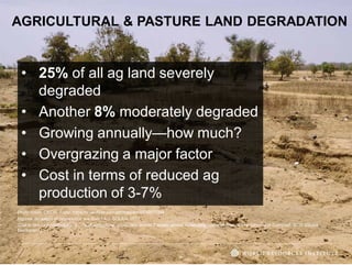 The transformative role of livestock in the developing world