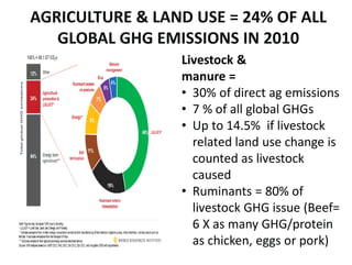 The transformative role of livestock in the developing world