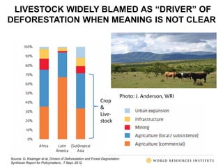 The transformative role of livestock in the developing world