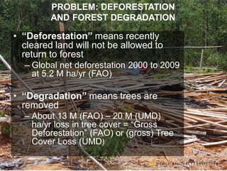 The transformative role of livestock in the developing world