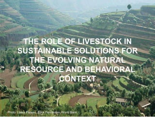 The transformative role of livestock in the developing world