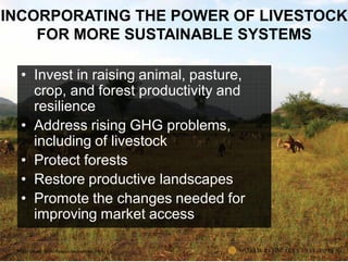 The transformative role of livestock in the developing world