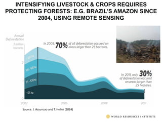 The transformative role of livestock in the developing world