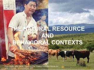 The transformative role of livestock in the developing world