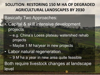 The transformative role of livestock in the developing world