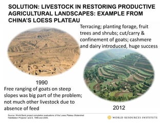 The transformative role of livestock in the developing world