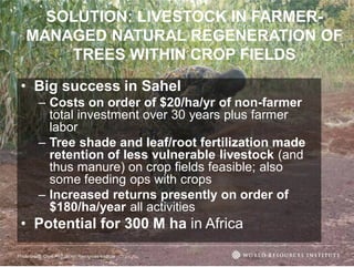 The transformative role of livestock in the developing world