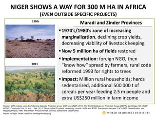 The transformative role of livestock in the developing world