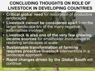The transformative role of livestock in the developing world