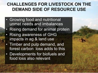 The transformative role of livestock in the developing world