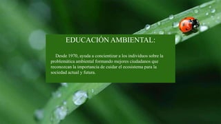 EDUCACIÓN AMBIENTAL:
Desde 1970, ayuda a concientizar a los individuos sobre la
problemática ambiental formando mejores ciudadanos que
reconozcan la importancia de cuidar el ecosistema para la
sociedad actual y futura.
 