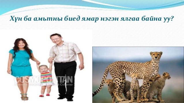 Биеийн тулгуур эрхтэн