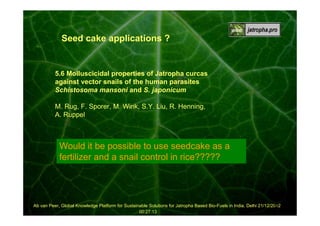Seed cake applications ?

5.6 Molluscicidal properties of Jatropha curcas
against vector snails of the human parasites
Schistosoma mansoni and S. japonicum
M. Rug, F. Sporer, M. Wink, S.Y. Liu, R. Henning,
A. Ruppel

Would it be possible to use seedcake as a
fertilizer and a snail control in rice?????

24
Ab van Peer, Global Knowledge Platform for Sustainable Solutions for Jatropha Based Bio-Fuels in India, Delhi 21/12/2012
00:27:13

 