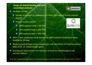 Design of chicken feeding trial with
neutralized seedcake
Variables in trial:
Gender of animals (3 repetitions of 4 Ross 308 male or female animals
tested)
Protein source rations:
100% soybean meal + 0% JKM
75% soybean meal + 25% JKM
50% soybean meal + 50% JKM
After 7 days adaptation of all animals to 100% soybean based feed ration,
feeding for 28 days
Measurement of feed intake, weight gain and calculation of Feed Conversion
Ratio (FCR, i.e. intake/weight gain)
Subsequent observations on individual animals for morphological and
necrotic defects
25
Ab van Peer, Global Knowledge Platform for Sustainable Solutions for Jatropha Based Bio-Fuels in India, Delhi 21/12/2012

 
