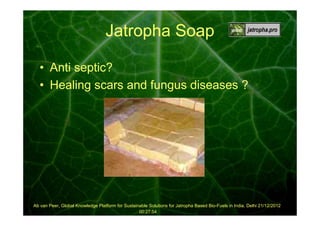 Jatropha Soap
• Anti septic?
• Healing scars and fungus diseases ?

Ab van Peer, Global Knowledge Platform for Sustainable Solutions for Jatropha Based Bio-Fuels in India, Delhi 21/12/2012
00:27:54

 