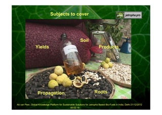 00:00:58

Subjects to cover

Soil
Yields

Propagation

Products

Roots

Ab van Peer, Global Knowledge Platform for Sustainable Solutions for Jatropha Based Bio-Fuels in India, Delhi 21/12/2012
00:02:18

 