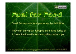 • Small farmers are food producers by definition!
• They can only grow Jatropha as a living fence or
in combination with food and other cash-crops

Ab van Peer, Global Knowledge Platform for Sustainable Solutions for Jatropha Based Bio-Fuels in India, Delhi 21/12/2012
00:16:58

 