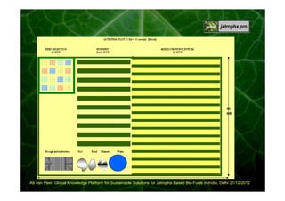 00:22:21

Ab van Peer, Global Knowledge Platform for Sustainable Solutions for Jatropha Based Bio-Fuels in India, Delhi 21/12/2012

 