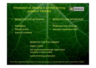 Introduction of Jatropha in a mixed farming
system in Tanzania
• BENEFITS FOR JATROPHA

• BENEFITS FOR INTERCROP

• Pollination
• Weed control
• Input of nutrients

• Protection from wind etc
• Jatropha seedcake input

BENEFITS FOR THE FARMER
Higher income
Soil improvement through higher input
resulting in higher yields
Local oil=energy production
Ab van Peer, Global Knowledge Platform for Sustainable Solutions for Jatropha Based Bio-Fuels in India, Delhi 21/12/2012

 