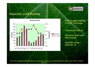 Expected yield Bukoba
Bukoba Climate
400

4 MT/ha alley cropping
0.800 gr m2/hedges

23.5

350

23
22.5

250
200

22

150

21.5

centigrades

mm rain

300

Total area= 5500 ha
total mm
av temp

Maximum seed yield
after 5 years

100
21

50

p
O
ct
N
ov
D
ec

Se

Ju
l
Au
g

Ja

Ju
n

20.5
n
Fe
b
M
ar
Ap
r
M
ay

0

22000MT seeds =
5500 MT oil

Ab van Peer, Global Knowledge Platform for Sustainable Solutions for Jatropha Based Bio-Fuels in India, Delhi 21/12/2012
00:19:12

 