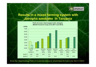 Results in a mixed farming system with
Jatropha seedcake in Tanzania
Yield of maize intercropped with Jatropha
(Moshi/Tanzania long rains 2011 and 2012)
mt/ha

7.00
6.00
5.00
4.00
3.00
2.00
1.00
0.00

control=
local
farmer+6

zero

jatropha
cake 1
mt/ha

jatropha
cake 2
mt/ha

2011

2.46

2.08

3.40

2012

4.27

1.11

2.47

5.35

jatropha
cake 5
mt/ha

cow
cow
cow
manure 1 manure 2 manure 5
mt/ha
mt/ha
mt/ha
2.95

6.46

3.61
3.89

4.03

Ab van Peer, Global Knowledge Platform for Sustainable Solutions for Jatropha Based Bio-Fuels in India, Delhi 21/12/2012

 