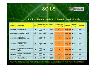 00:00:58

SOILS
Lack of Phosphate is a problem in tropical soils
rem ar N= kg
k
N/ha

Country

Re ma rks

pH

Tha ila nd

unused la nd

4.4

very
low

30

5.7

low

115

Indone sia a griculture land

rema r
k

P=P-Al, m g
P2O5/100gr

low

<3

ve ry low 32

low

good

14

ve ry low 122

good

rem ark

K= mg
K/kg

remark

Indone sia

neglected
construction site

4

very
low

45

low

<3

ve ry low 27

low

Tanzania

cleared bush,
suitable for
a griculture

7.6

high

251

high

<3

ve ry low 139

good

Cam bodia

neglected agriculture
3.8
land

very
low

18

ve ry
low

6

ve ry low 20

low

Tha ila nd

forme r a griculture
a rea

4.4

very
low

24

low

<3

ve ry low 58

low

6.8

good

91

rather
low

<3

ve ry low 154

good

Cam bodia cleared bush

Ab van Peer, Global Knowledge Platform for Sustainable Solutions for Jatropha Based Bio-Fuels in India, Delhi 21/12/2012

 