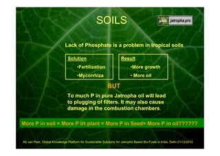 00:00:58

SOILS
Lack of Phosphate is a problem in tropical soils
Solution

Result

•Fertilization

•More growth

•Mycorrhiza

• More oil

BUT
To much P in pure Jatropha oil will lead
to plugging of filters. It may also cause
damage in the combustion chambers.
More P in soil = More P in plant = More P in Seed= More P in oil??????

Ab van Peer, Global Knowledge Platform for Sustainable Solutions for Jatropha Based Bio-Fuels in India, Delhi 21/12/2012

 