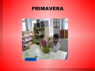 Famílies: cuina paquistanesa i rumanesa. ORGANITZACIÓ ALUMNAT ORGANITZACIÓ ALUMNAT 