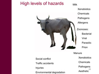 What we have learned about disease risks and food safety in the informal food sector 